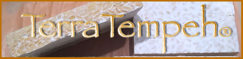 terratempeh banner